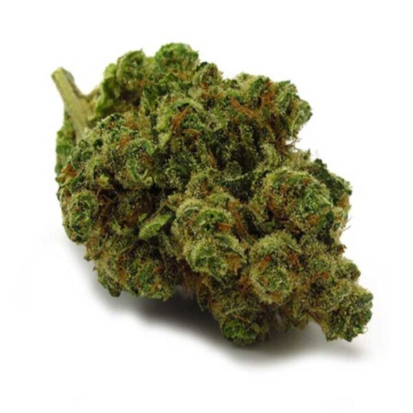 Chiquita Banana Strain